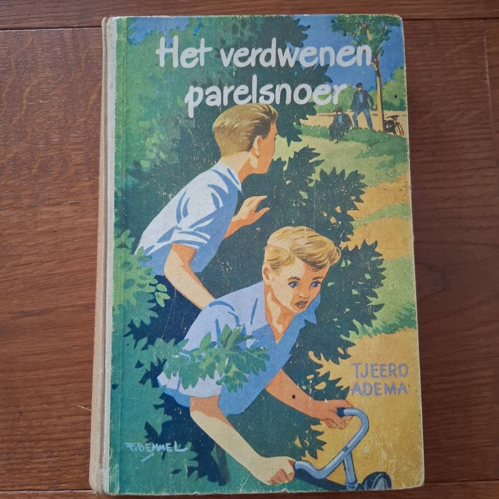 Het verdwenen parelsnoer tjeerd adema, Boeken, Ophalen of Verzenden, Gelezen