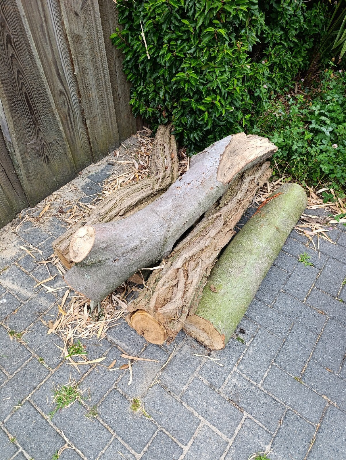 Brandhout acacia en beuk, Tuin en Terras, Minder dan 3 m³, Ophalen