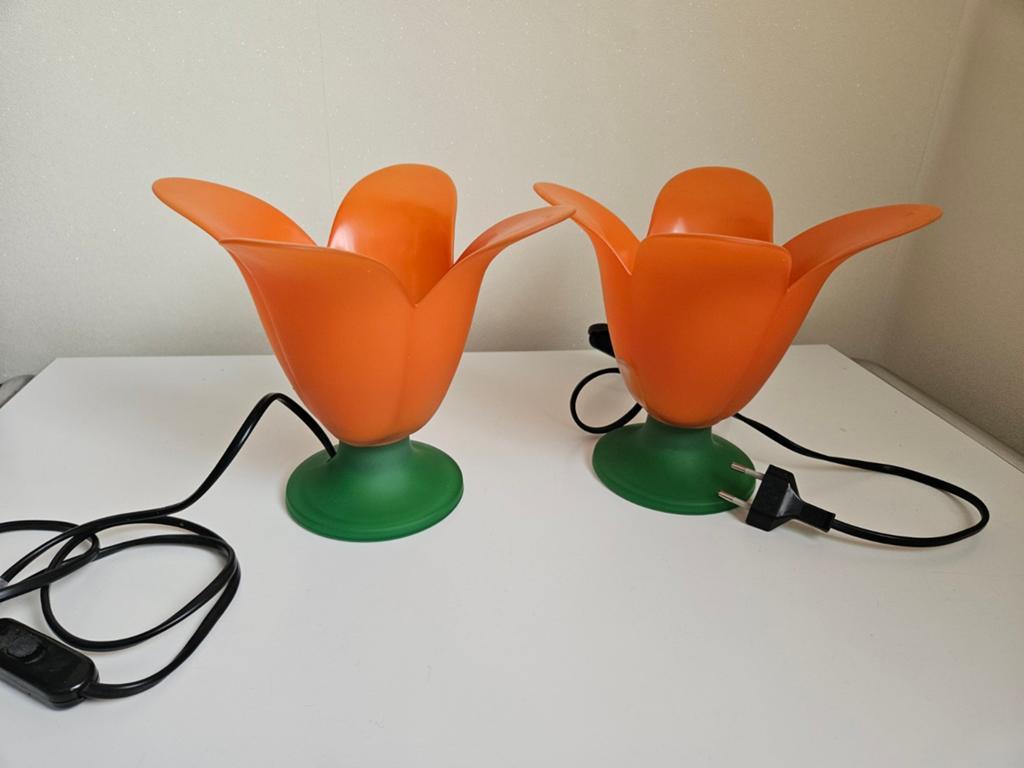 Van Der Heg glazen bloemlampen, Ophalen of Verzenden