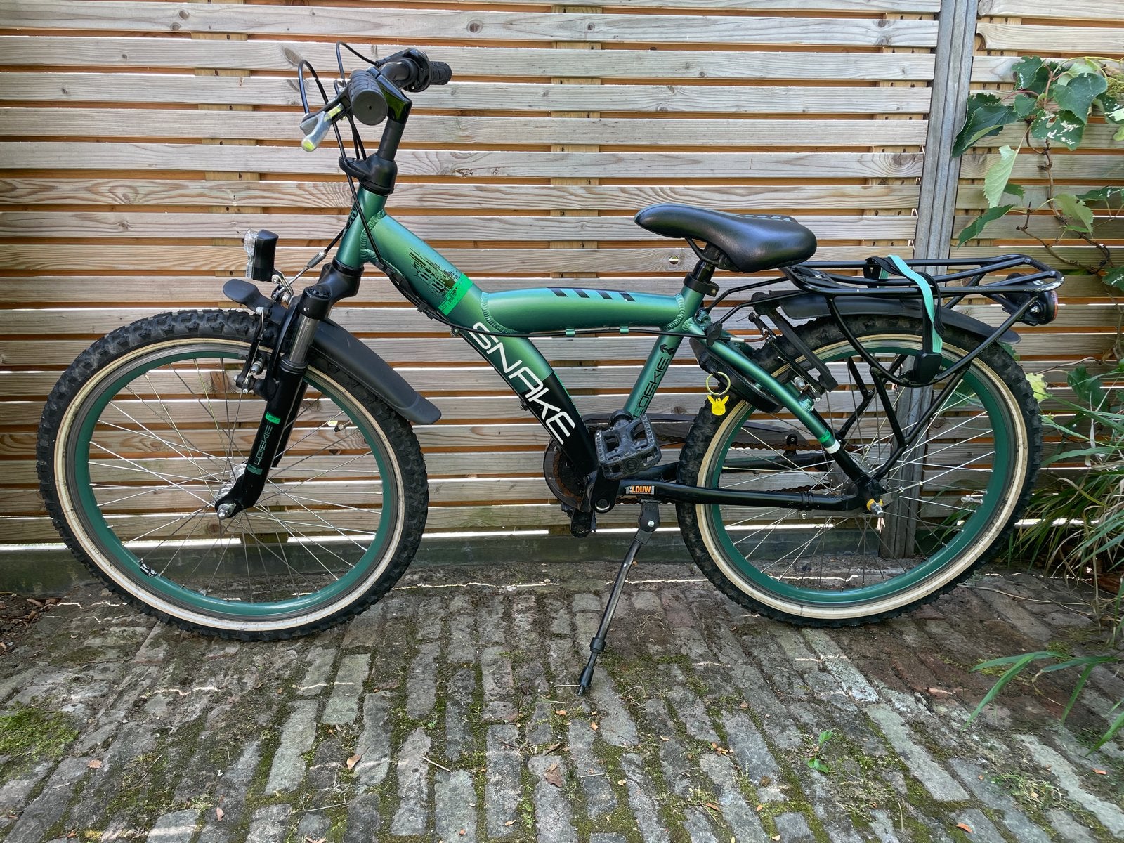 Loekie Snake - 22 inch jongensfiets, Terugtraprem, Gebruikt, Versnellingen, Ophalen