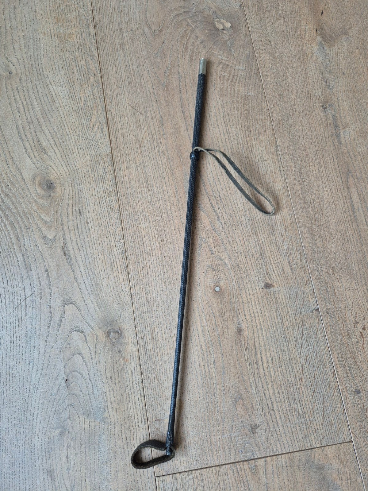 Korte zweep (60 cm), Dieren en Toebehoren, Ophalen of Verzenden, Overige soorten
