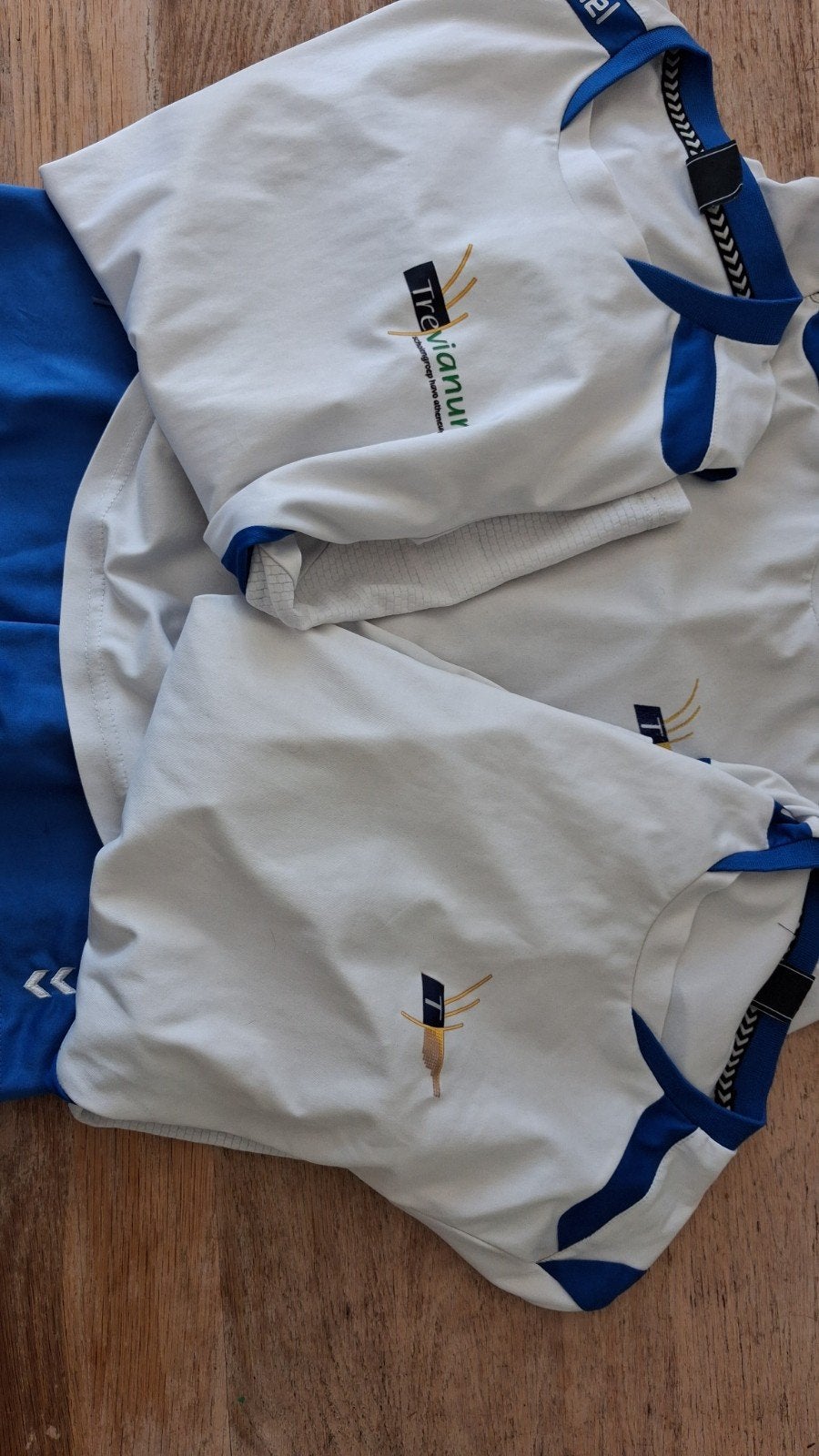 Gymkleding Trevianum, Kleding | Heren, Ophalen of Verzenden, Gedragen, Overige maten, Voetbal