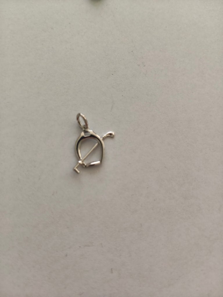 1355 hanger met hoefijzer en zweepje ..Rvs materiaal, Verzenden, Nieuw, Zilver, Overige materialen
