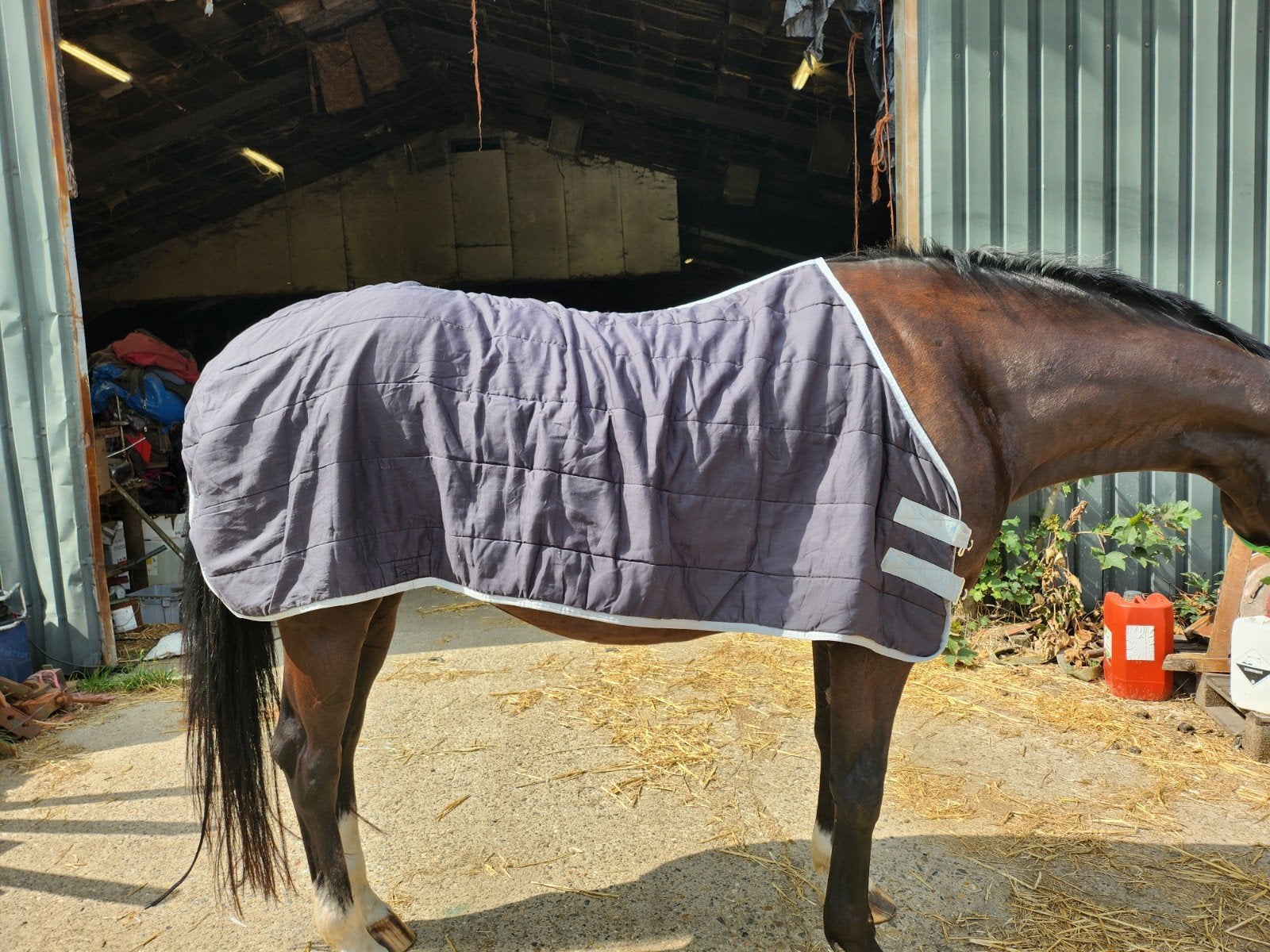 Pagony onderdeken 205, Dieren en Toebehoren, Paarden en Pony's | Dekens en Dekjes, Full (L), Overige merken, Ophalen of Verzenden
