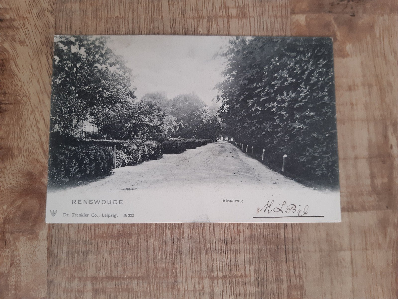 Ansichtkaart Renswoude Straatweg 1904, Ophalen of Verzenden
