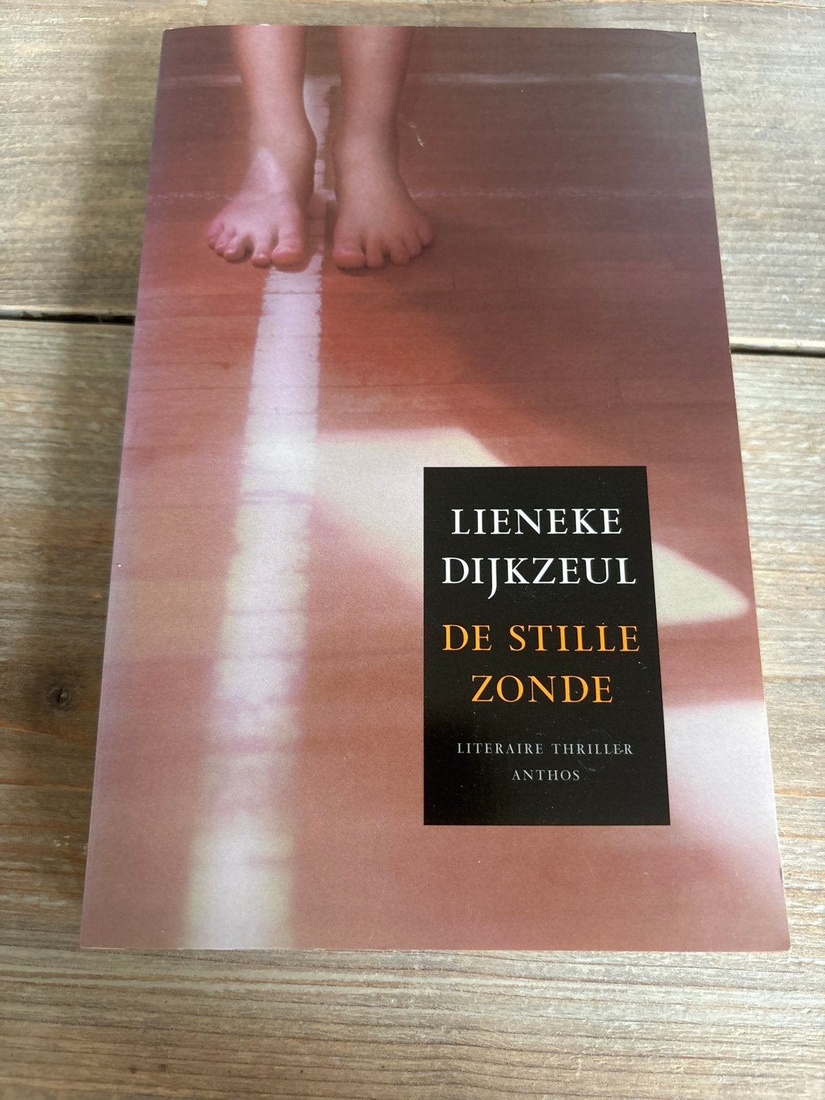 Lieneke Dijkzeul - De Stille Zonde (Literaire Thriller), Ophalen of Verzenden, Zo goed als nieuw