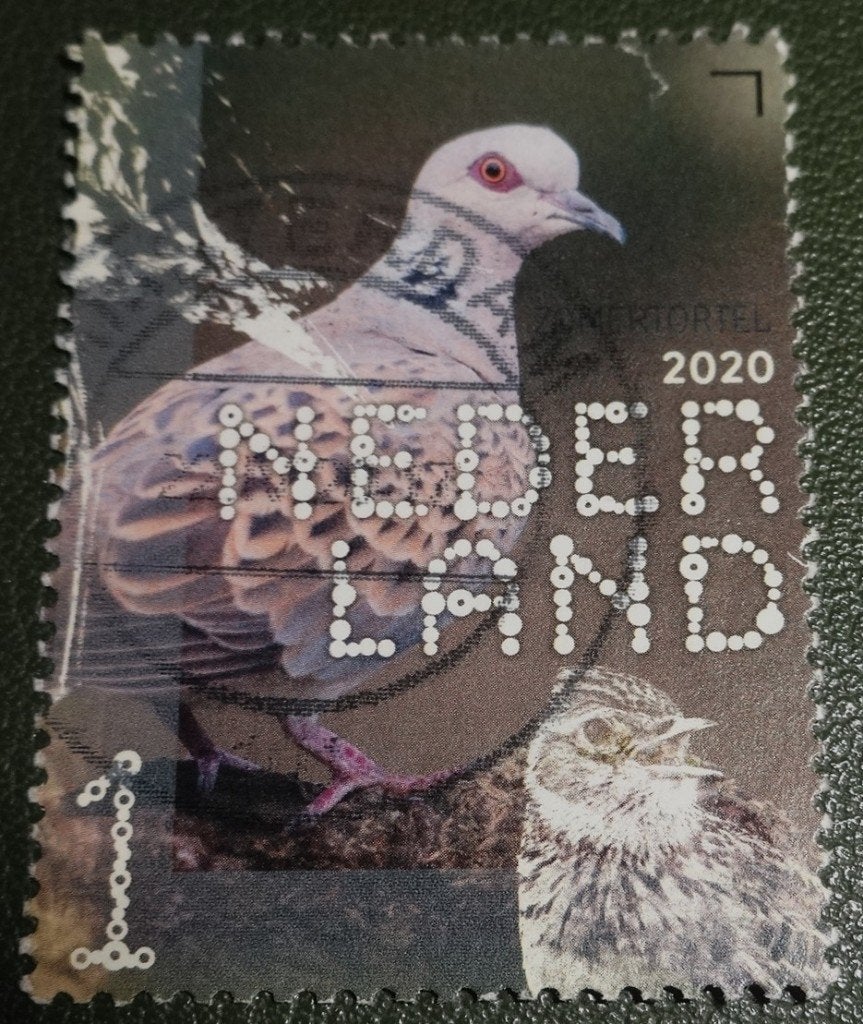 Beleef de Natuur - 3828 - 2020 - Zomertortel - PNe01-07, Verzenden, Na 1940, Gestempeld