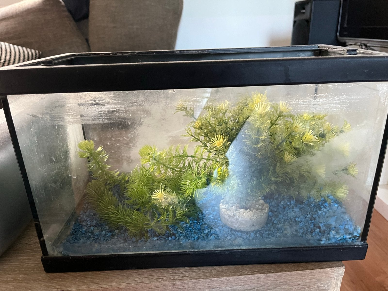 Aqaurium gratis op te halen, Ophalen of Verzenden