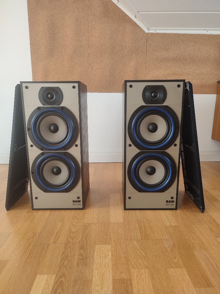 B&W DM220 luidsprekers, Ophalen, Vloerstaande luidspreker, Gebruikt, 60 tot 120 watt