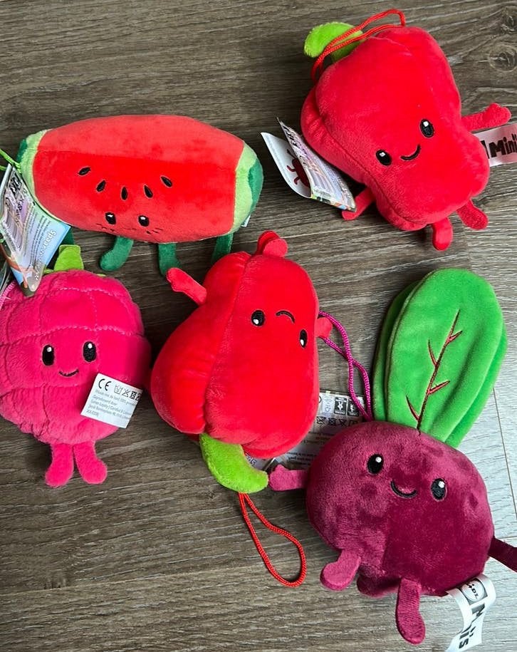 Leuke mini’s van spaaractie Lidl. Nieuw met kaartje, Ophalen of Verzenden, Nieuw, Overige typen