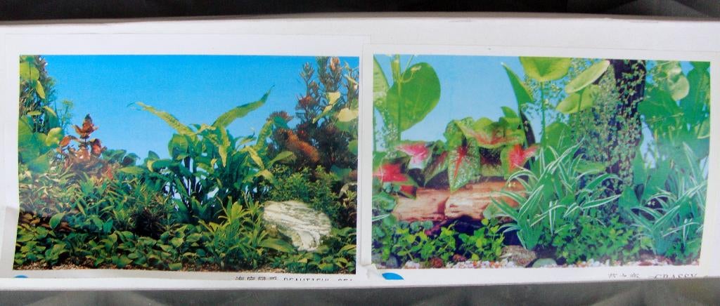 aquarium achtergrond decoratie € 1,00 per meter / op=op !, Ophalen of Verzenden, Nieuw