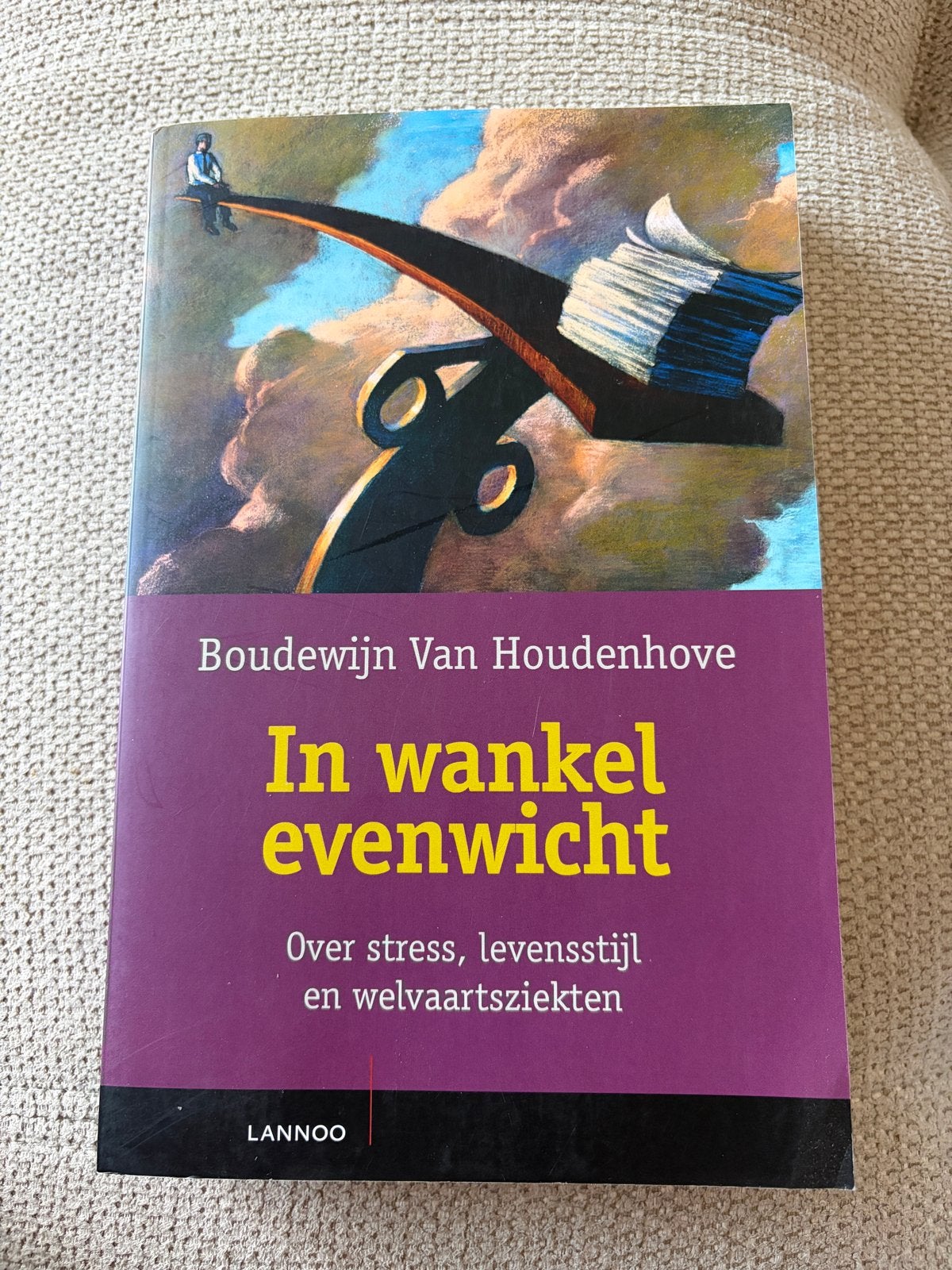 In wankel evenwicht: Boudewijn van Houdenhove -Over stress, Ophalen of Verzenden, Zo goed als nieuw, Gezondheid en Conditie