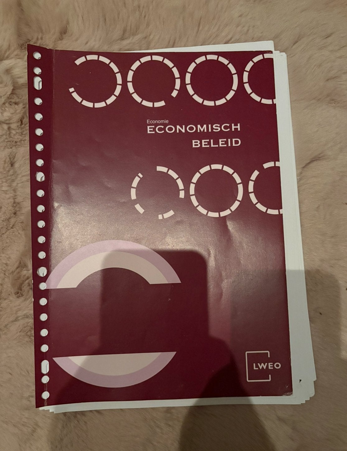 Vwo LWEO Economisch beleid ongebruikt. Geen verpakking, Ophalen of Verzenden, Nieuw