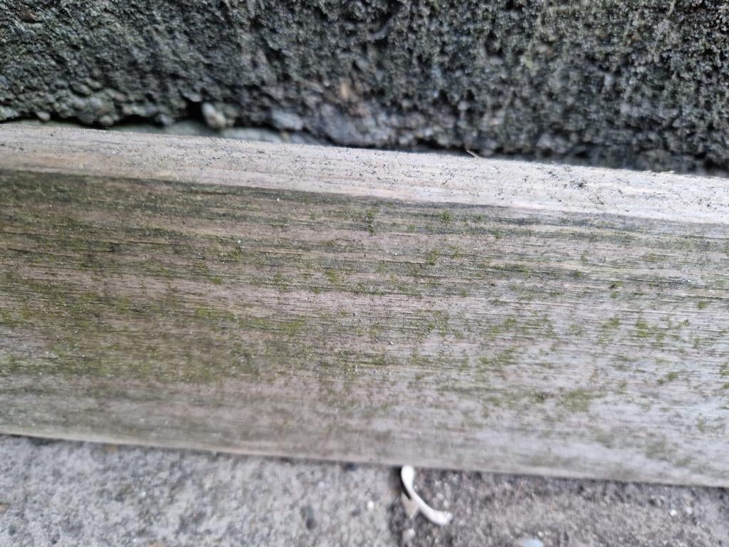Houten plank 3,60m lang, Ophalen, Minder dan 25 mm, Zo goed als nieuw, Plank