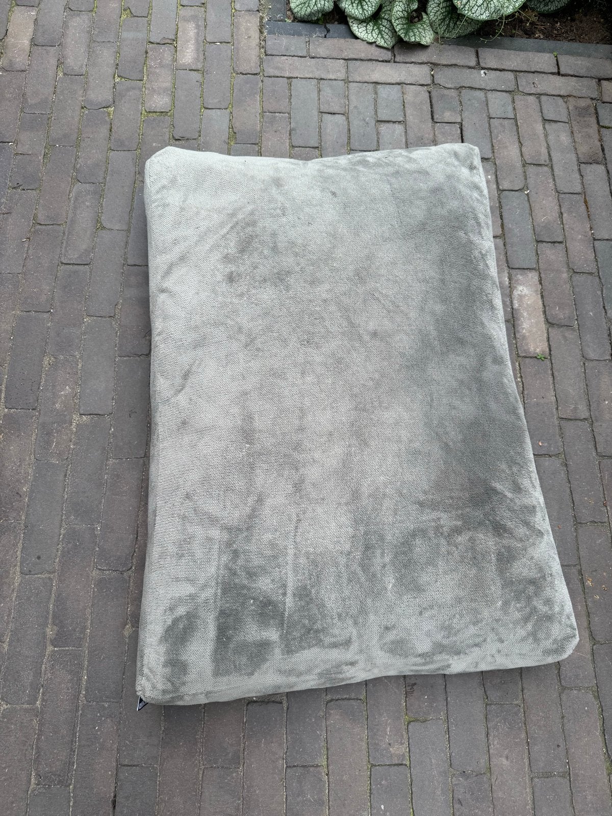 Grijs hondenkussen - Zo goed als nieuw, Dieren en Toebehoren, Hondenmanden, Ophalen, Zo goed als nieuw