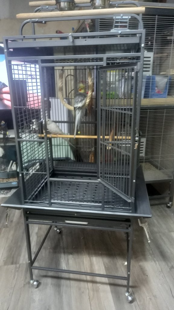valkparkieten vogels kooi voor klein en grote vogel, Ophalen, Zo goed als nieuw, Metaal, Vogelkooi