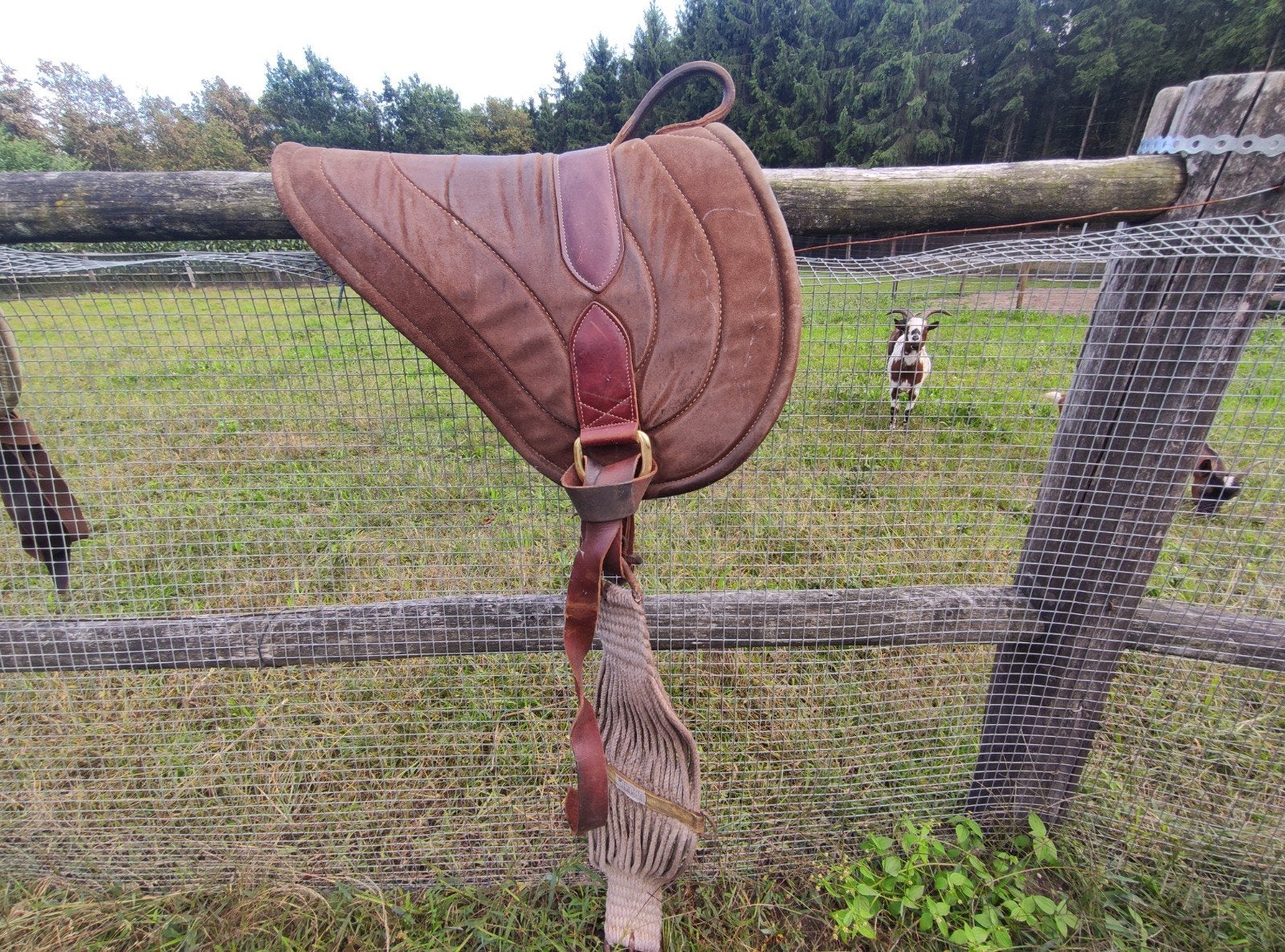 Foto 7 van barebackpad (Parelli) leer suede boven medisch vilt onder