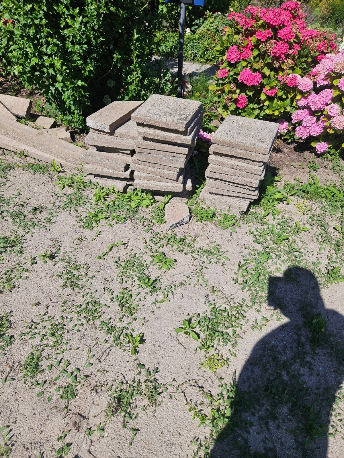 Gratis stoep- en terrastegels, Tuin en Terras, Tegels en Klinkers, Gebruikt, Terrastegels, Beton, 10 m² of meer, Ophalen of Verzenden
