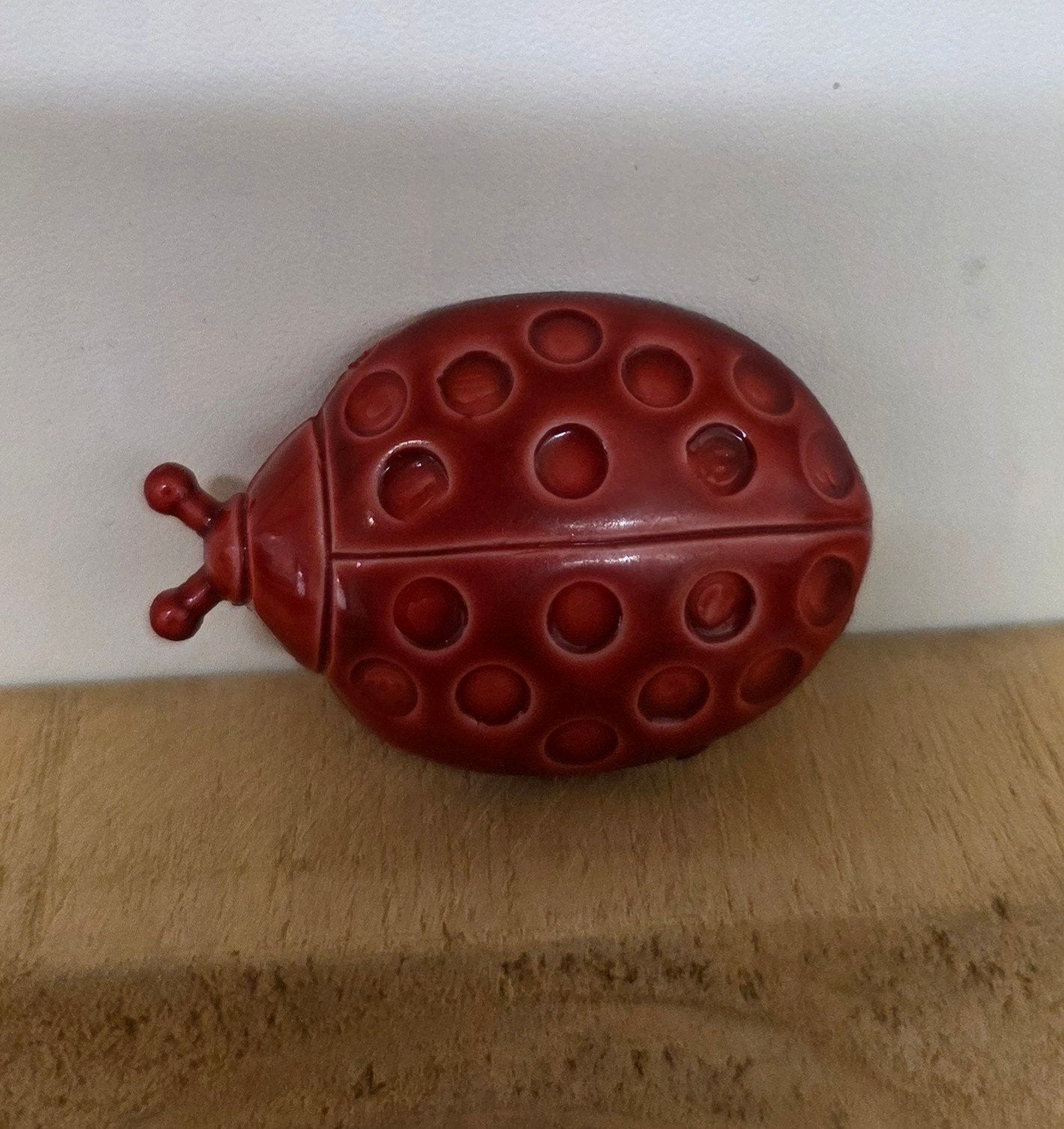 Originele Vintage broche LIEVEHEERSBEESTJE, Overige materialen, 4 tot 7 cm, Ophalen of Verzenden, Zo goed als nieuw