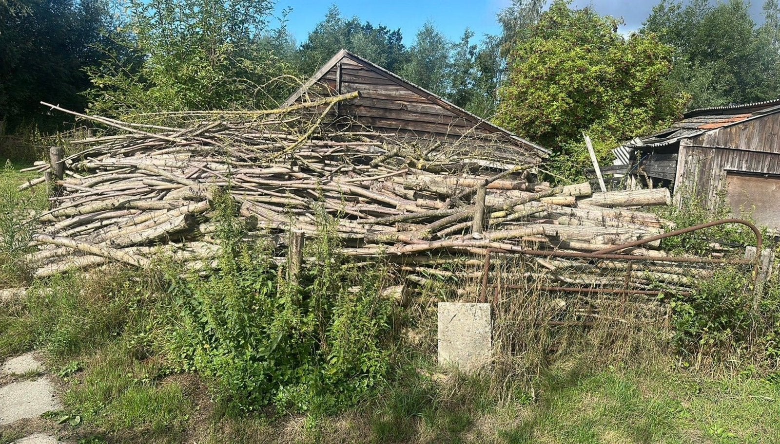Haardhout ruim 20m3, Tuin en Terras, Haardhout, 6 m³ of meer, Ophalen, Overige houtsoorten, Takken