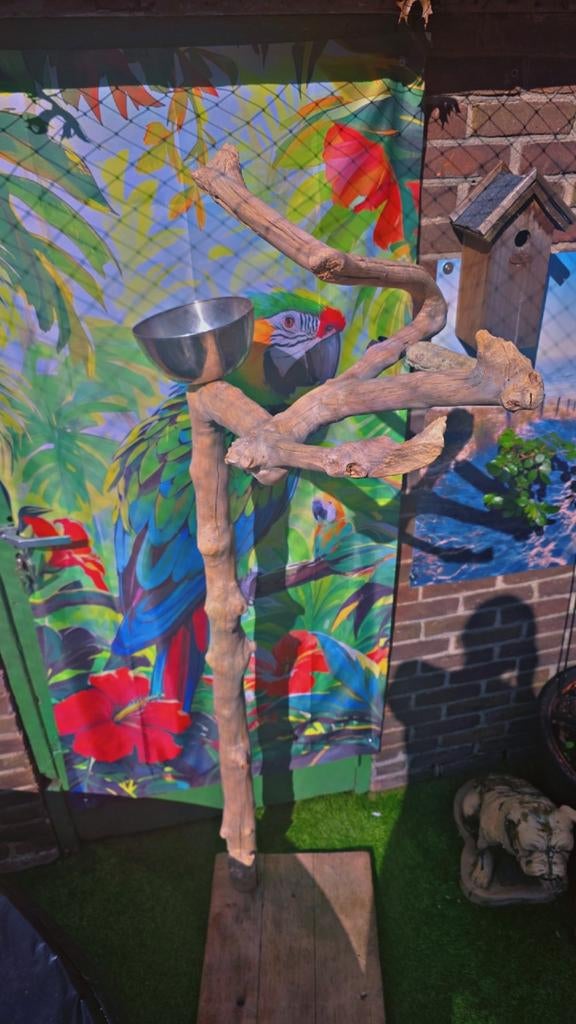 Grote javaboom, Dieren en Toebehoren, Vogels | Toebehoren, Ophalen