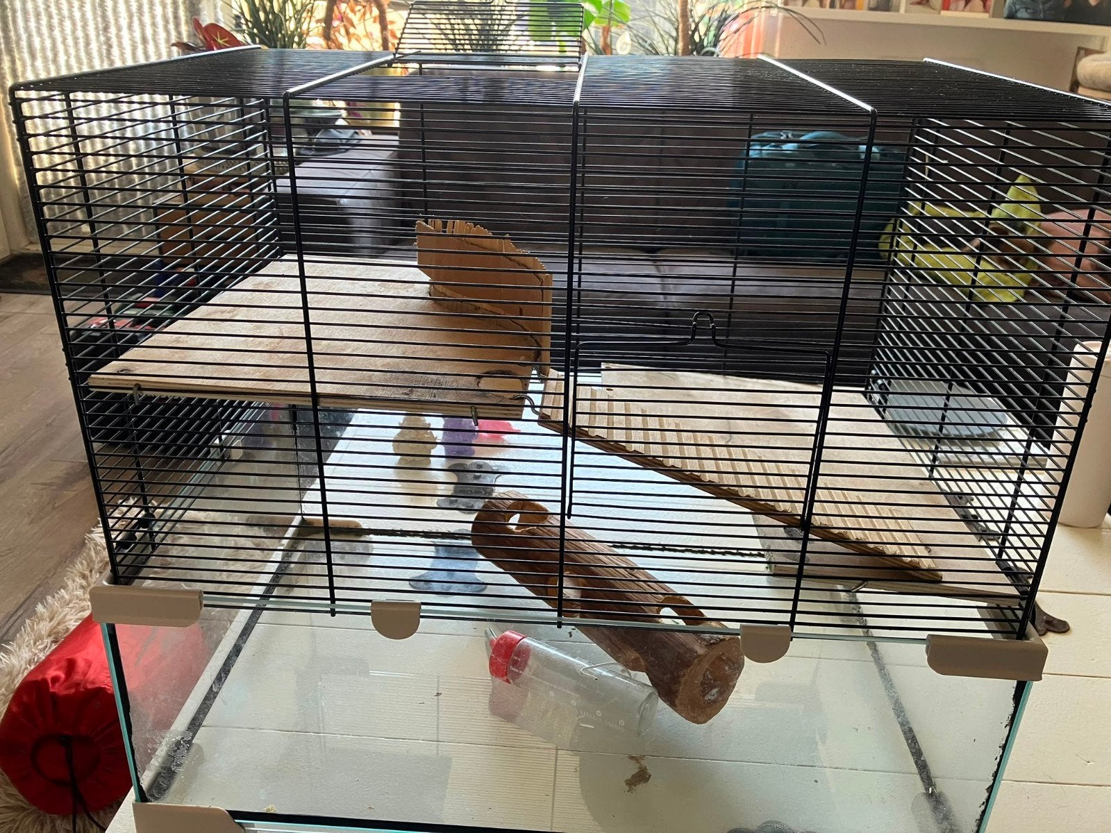 Ferplast 60 Hamsterkooi karat 60 60x40 cm zwart met glas, Dieren en Toebehoren, Knaagdieren en Konijnen | Hokken en Kooien, Ophalen