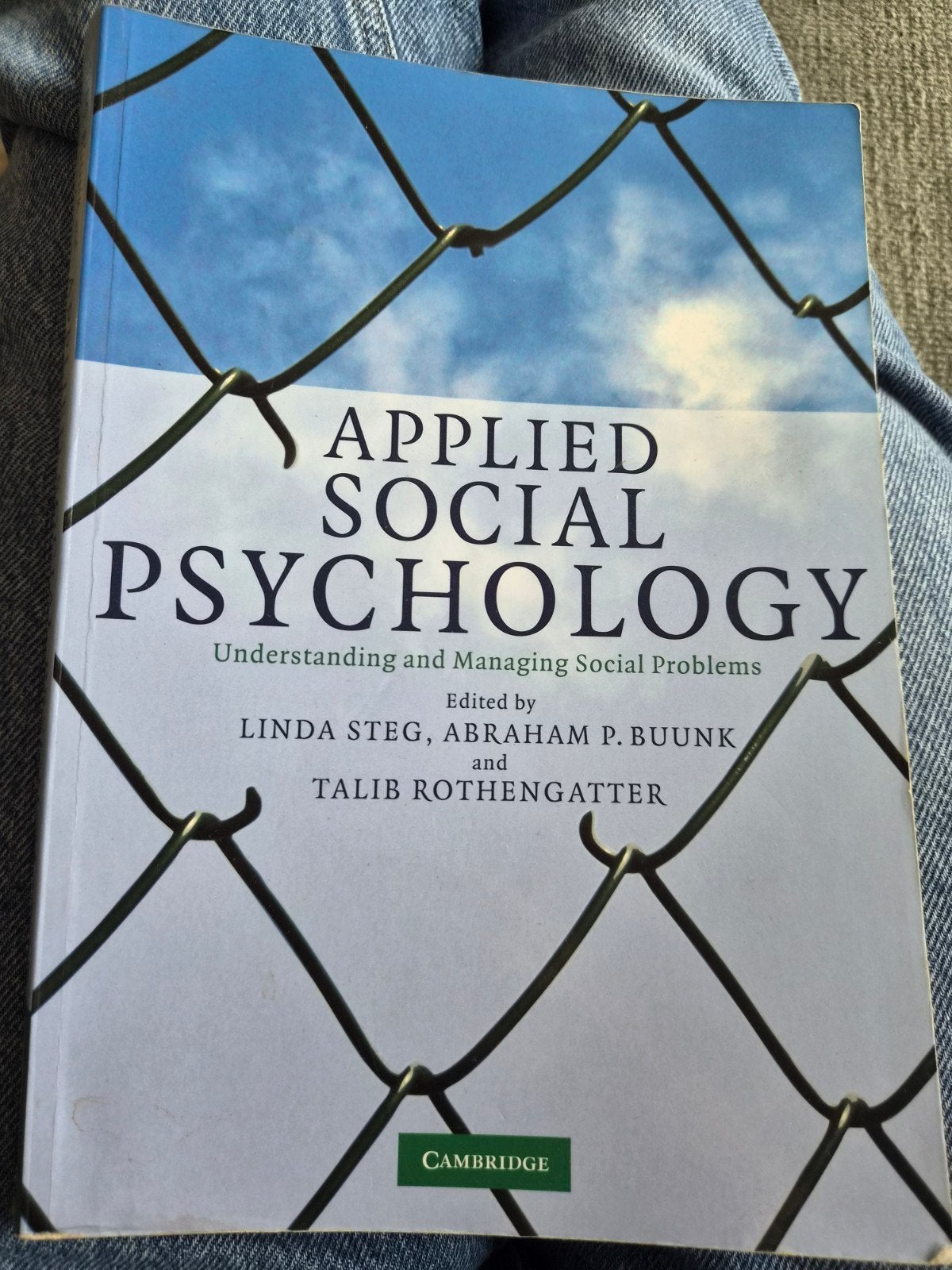 Applied Social Psychology - Linda Steg, Abraham Buunk, Ophalen of Verzenden, Gelezen, Sociale psychologie, Linda Steg, Abraham P. Buunk, Talib Rothengatter
