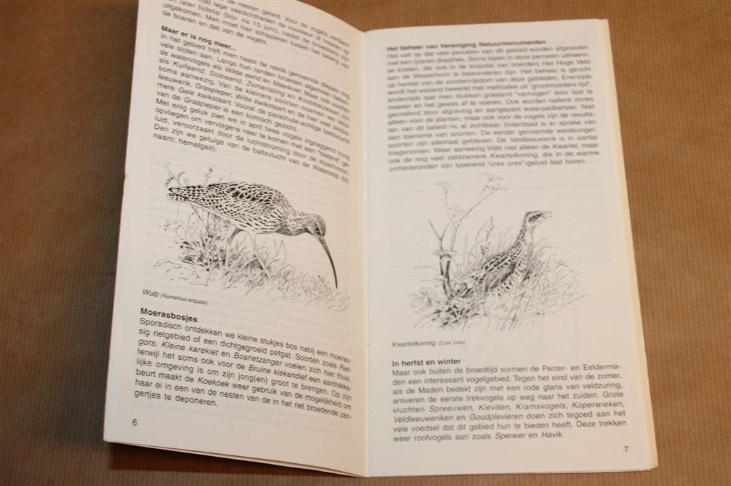 Vogels Kijken Paterswolde — IVN Eelde-Paterswolde [2002], Ophalen of Verzenden, Gelezen, Vogels
