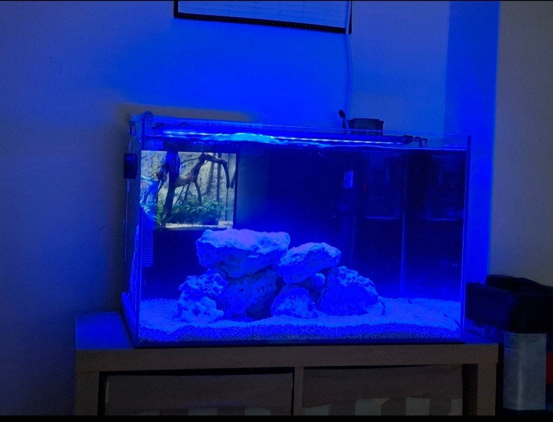 Zeeaquarium 90L met toebehoren, Ophalen, Inclusief toebehoren, Zo goed als nieuw, Leeg aquarium