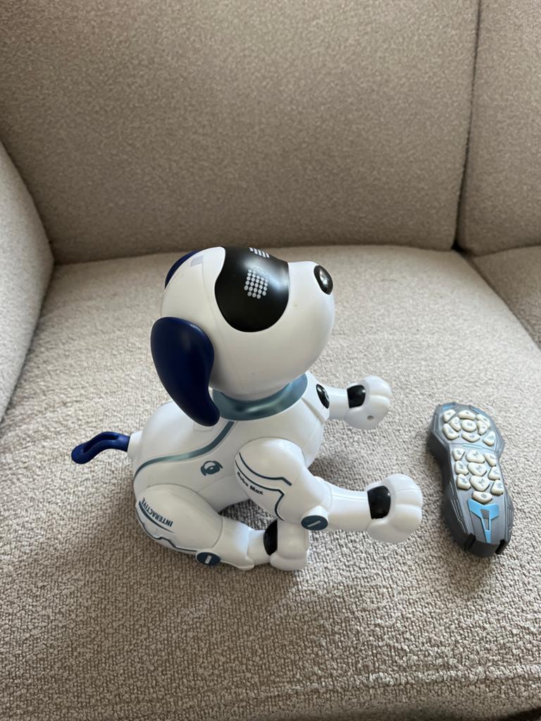 Robot hond met afstandsbediening, Ophalen of Verzenden, Zo goed als nieuw