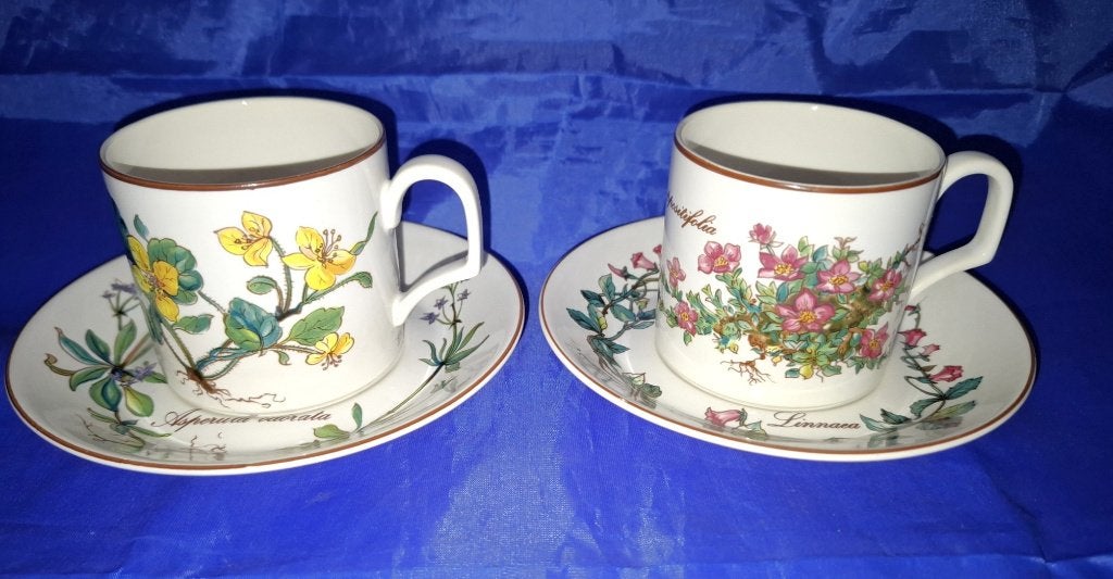Villeroy & Boch Botanica – Espresso Kop en Schotels D-E, Villeroy & Boch, Ophalen of Verzenden, Zo goed als nieuw, Overige stijlen