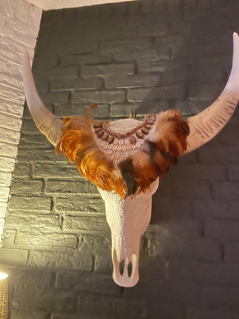 Skull, Ophalen, Gebruikt, Wandhanger