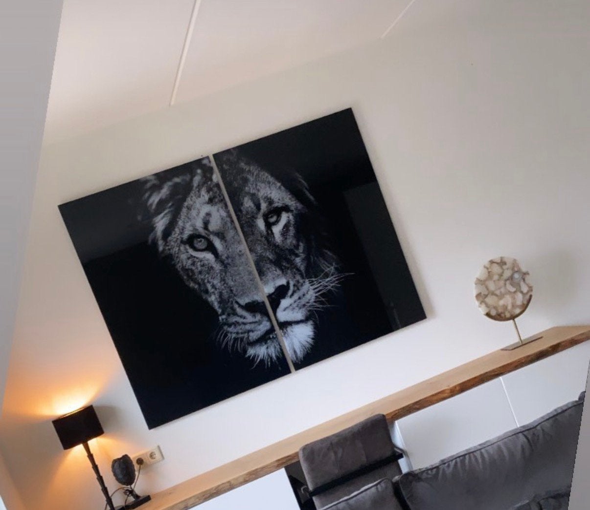 LUXE 2-LUIK LEEUWEN – PLEXIGLAS – VAN €430 VOOR €100, Ophalen