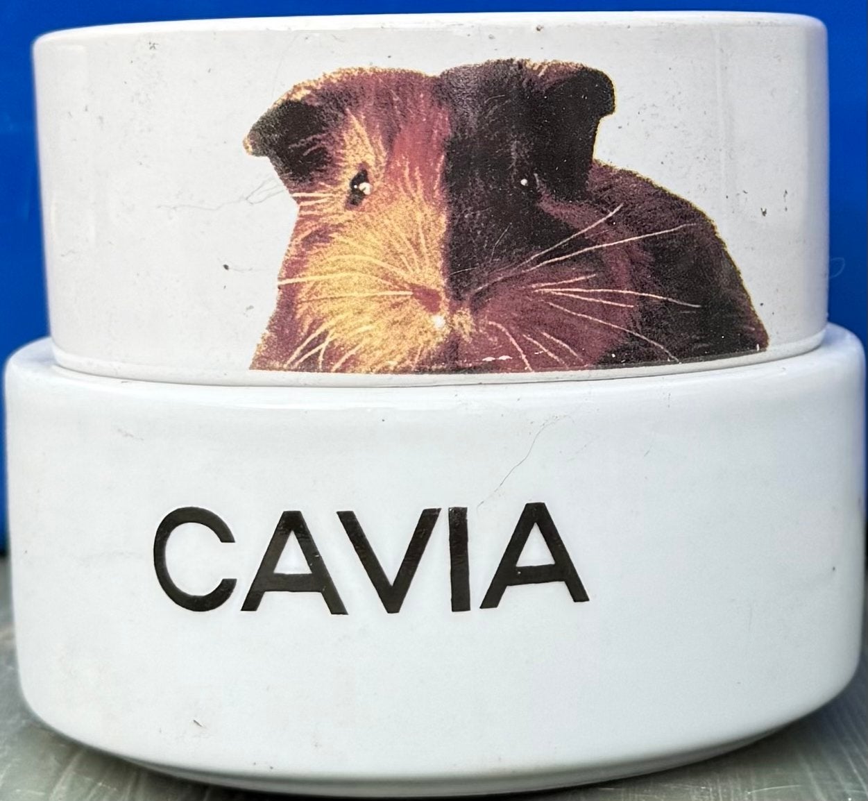 Cavia 2 voerbakken drinkbak voerbak drink voer bak, Dieren en Toebehoren, Ophalen, Zo goed als nieuw, Voerbakje