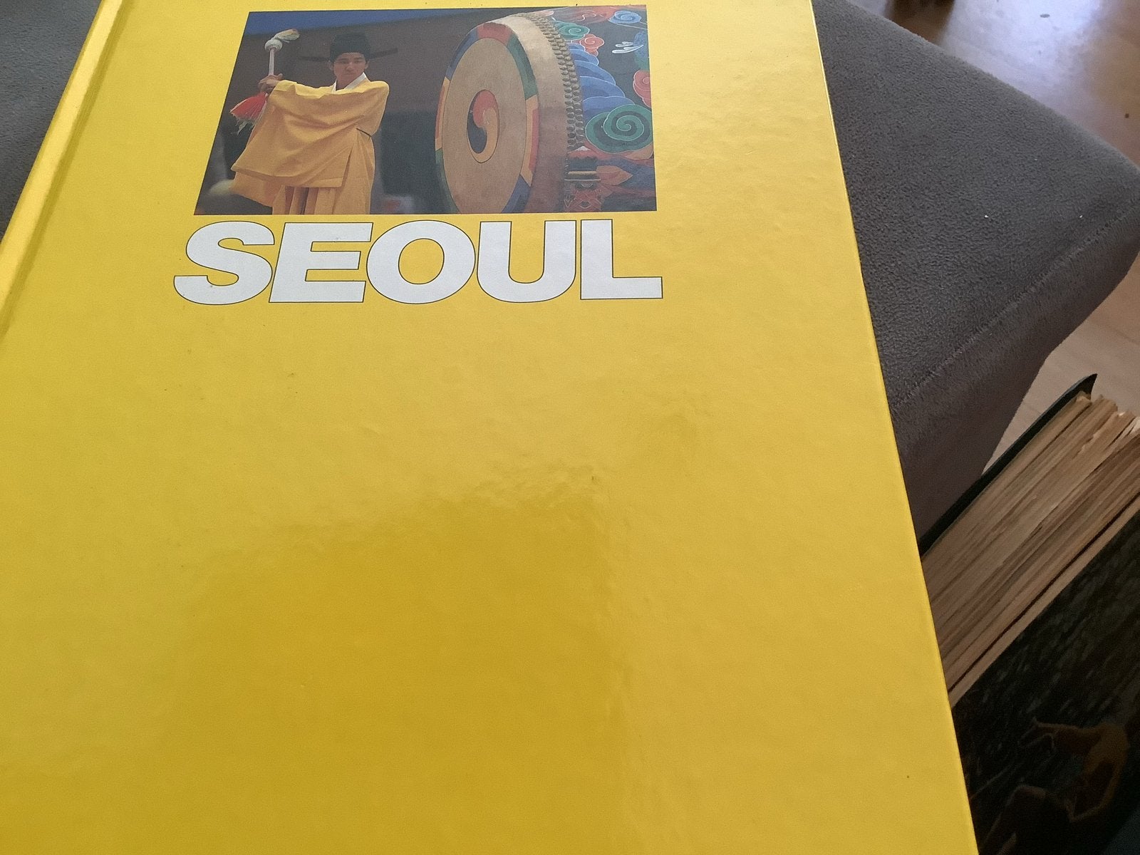Seoul Olympische Spelen 1988 Boek, Ophalen of Verzenden, Gelezen, Balsport