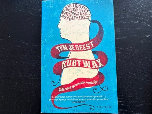 Ruby Wax - tem je geest, Boeken, Ophalen of Verzenden, Zo goed als nieuw, Spiritualiteit algemeen, Overige typen