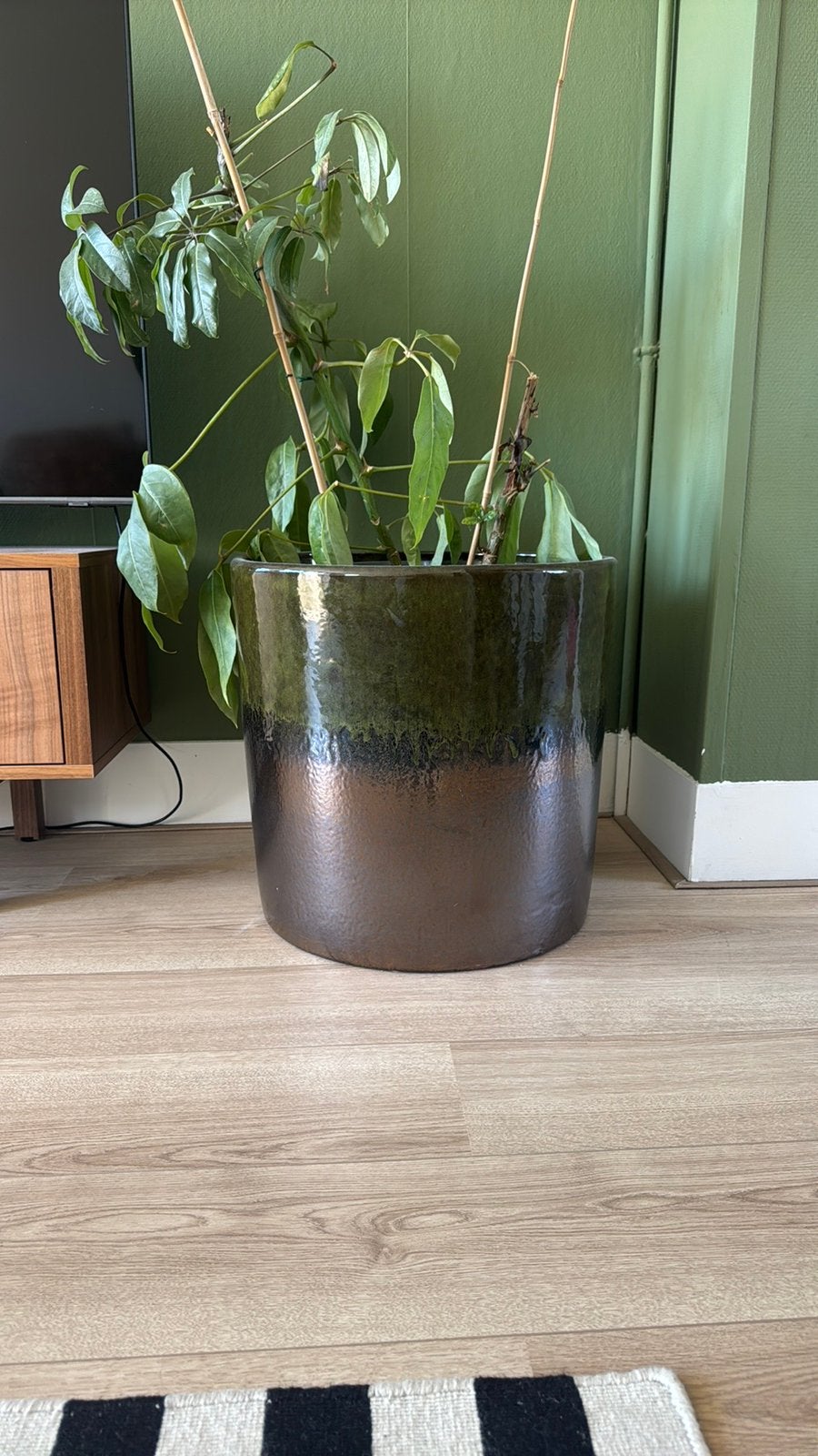 Plantenpot groen, Tuin en Terras, Bloembakken en Plantenbakken, Ophalen, Zo goed als nieuw, Rond, Overige materialen