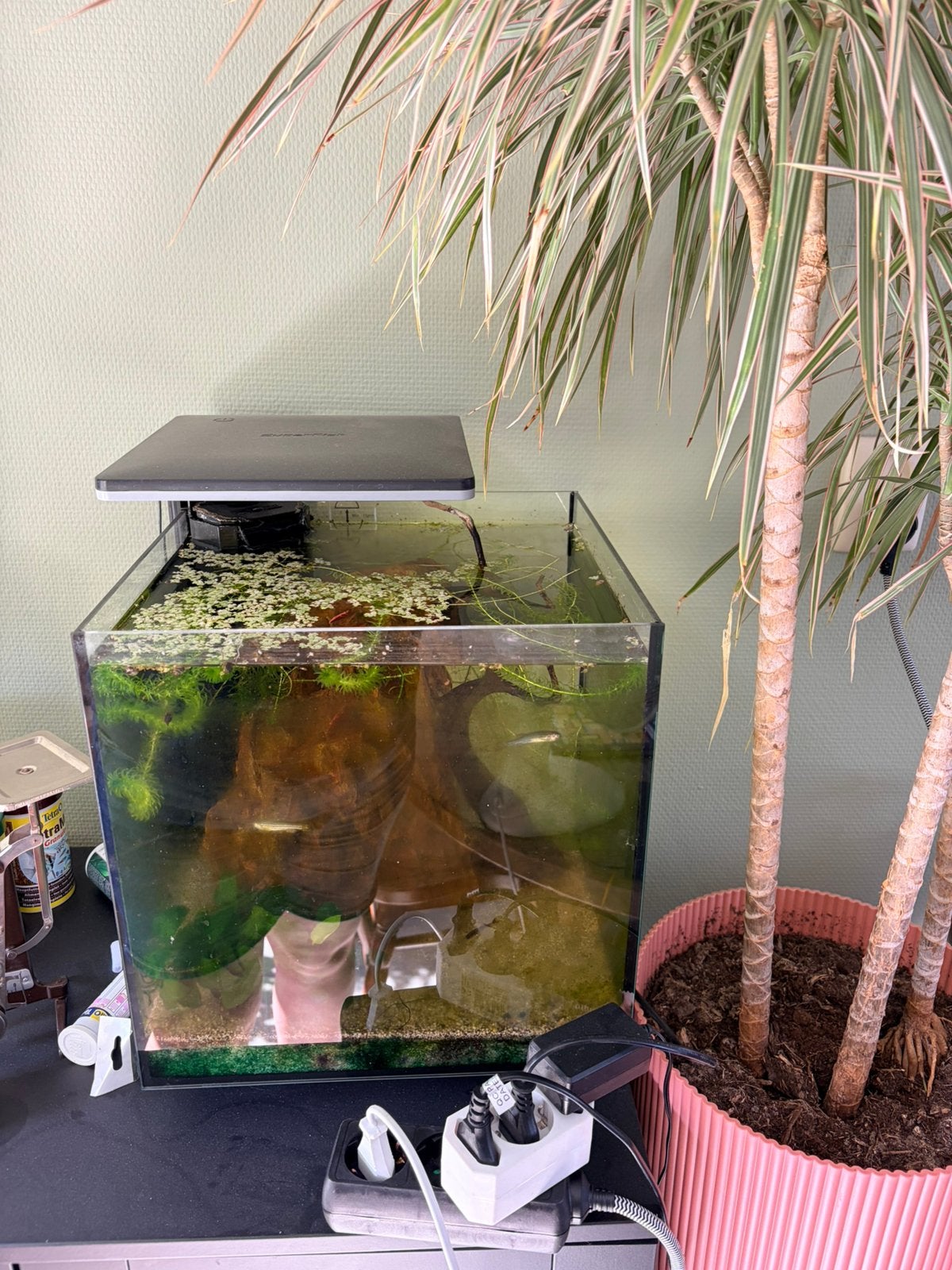 Superfish qubiq 30 pro zwart, Ophalen, Zo goed als nieuw, Gevuld zoetwateraquarium