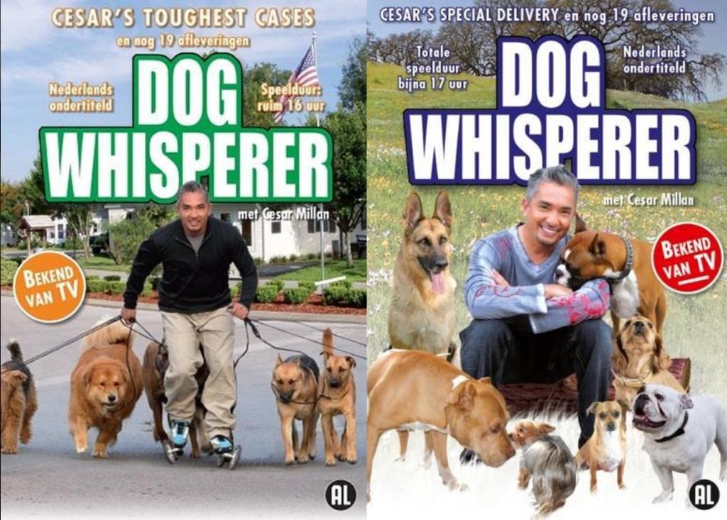 The Dog Whisperer (10xDVD SET) Cesar Millan TV-Serie, Alle leeftijden, Boxset, Ophalen of Verzenden, Zo goed als nieuw