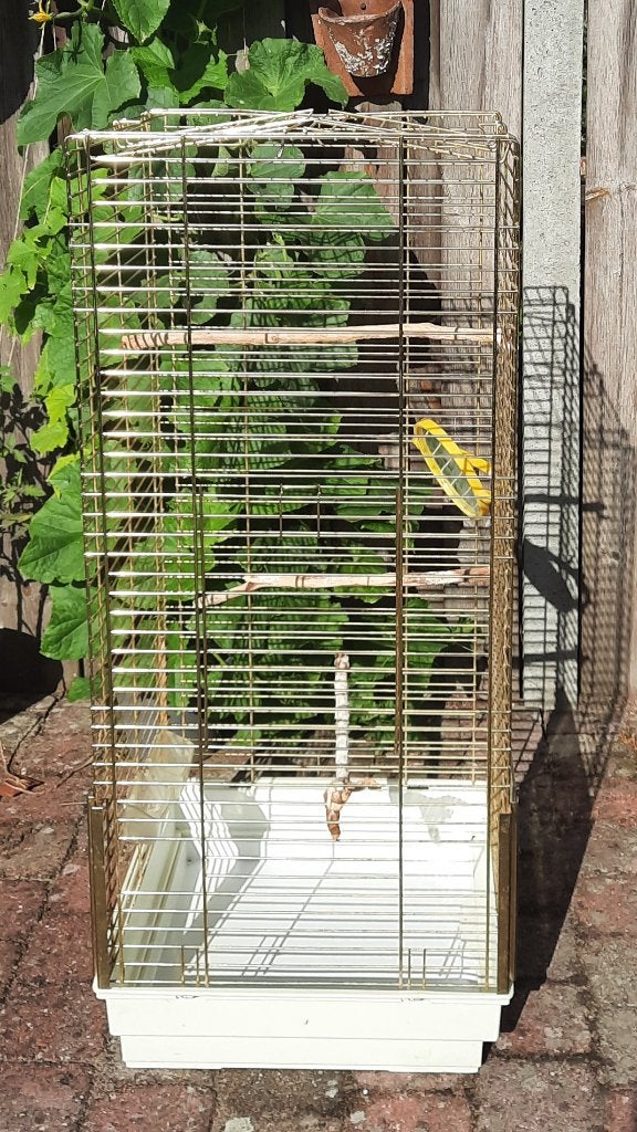 Grote vogelkooi, Ophalen, Gebruikt, Metaal, Vogelkooi
