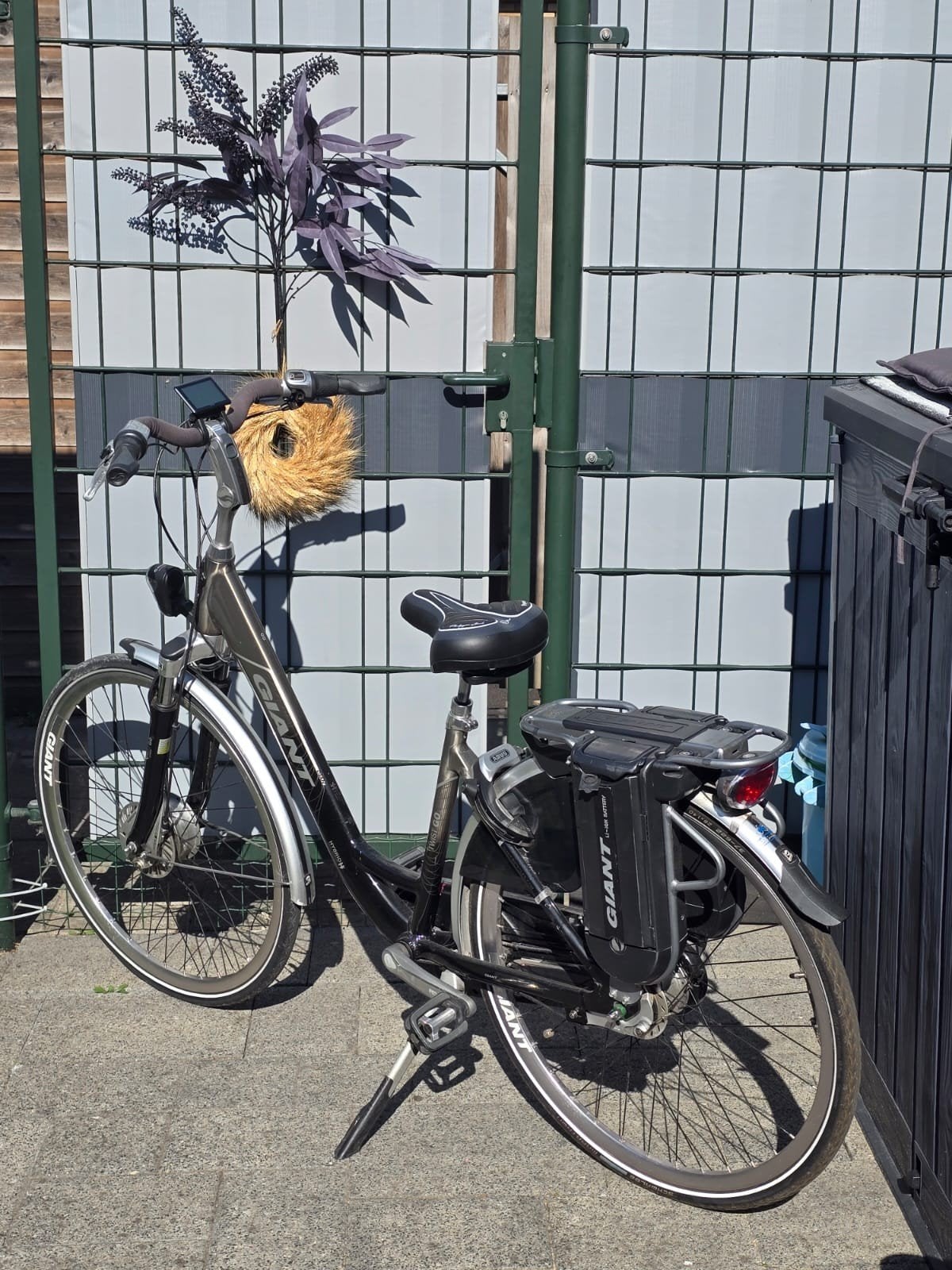Giant elektrische fiets - Goed onderhouden, Fietsen en Brommers, Ophalen of Verzenden, Gebruikt, 30 tot 50 km per accu, Giant