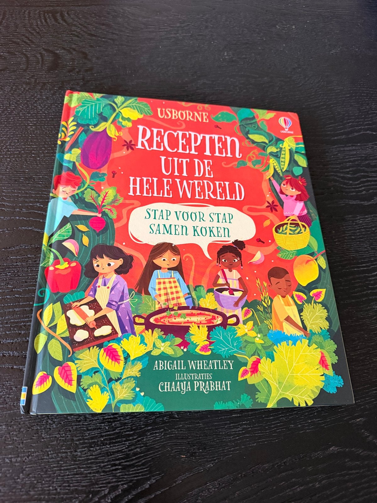 Usborne Recepten uit de hele wereld - Kinderkookboek, Ophalen of Verzenden, Zo goed als nieuw, Overige gebieden, Gezond koken