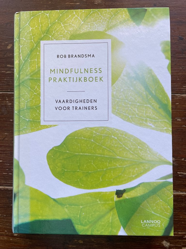 Rob Brandsma Mindfulness Praktijkboek 2012 nieuw, Sociale psychologie, Rob Brandsma, Nieuw, Ophalen of Verzenden