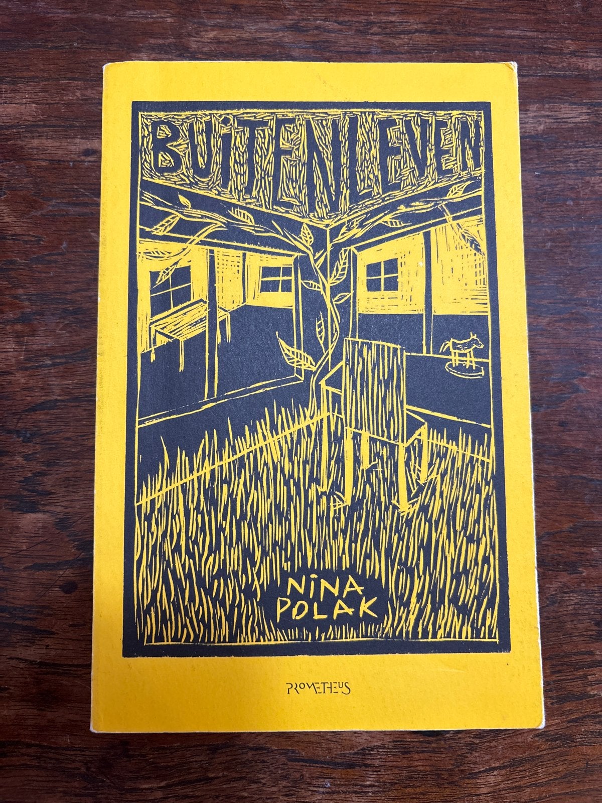 Buitenleven - Nina Polak (roman), Boeken, Ophalen of Verzenden, Gelezen, Nederland