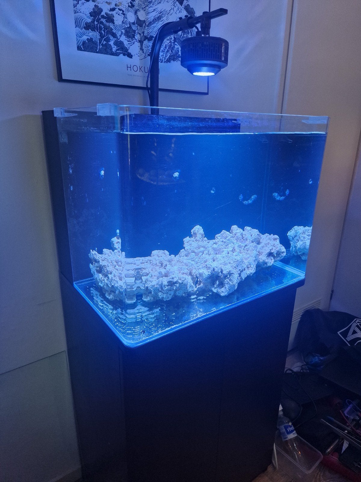 overcompleet zeeaquarium blue marine, Ophalen, Gevuld zeewateraquarium
