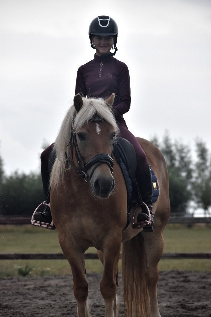 ## GEWELDIGE, vriendelijke en 100% brave stevige merrie ##, Met stamboom, 3 tot 6 jaar, Recreatiepony, Merrie
