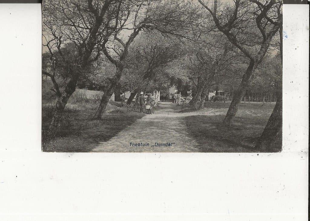 Den Haag Theetuin 29-7-1913, Ophalen of Verzenden, Voor 1920, Gelopen, Zuid-Holland