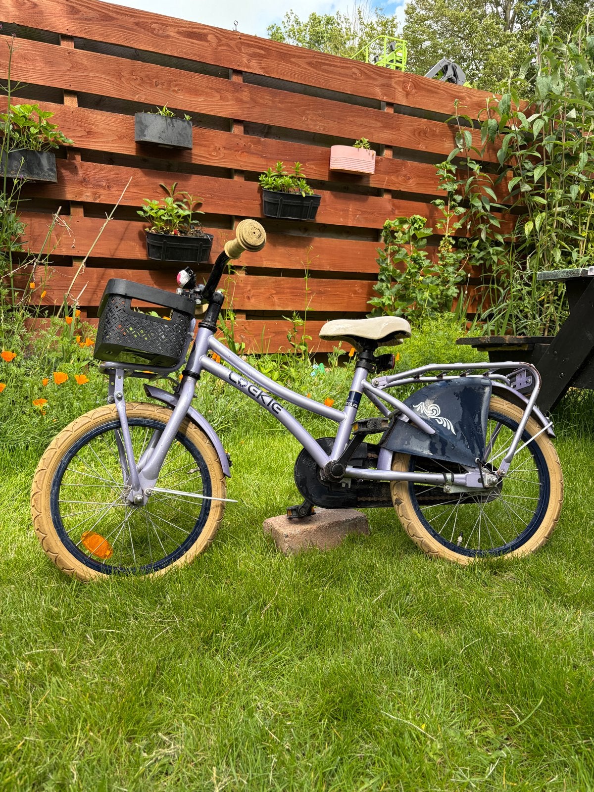 Leuke Kinderfiets 12 inch met mandje en bagagedrager, Ophalen, Gebruikt, Terugtraprem, Minder dan 16 inch