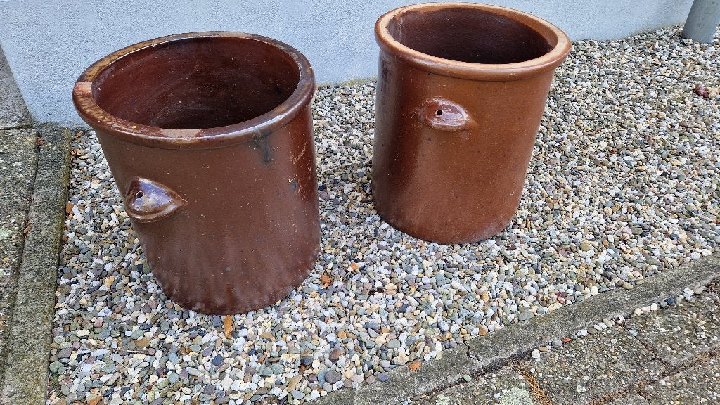 Grote zuurkool/grespotten, Ophalen