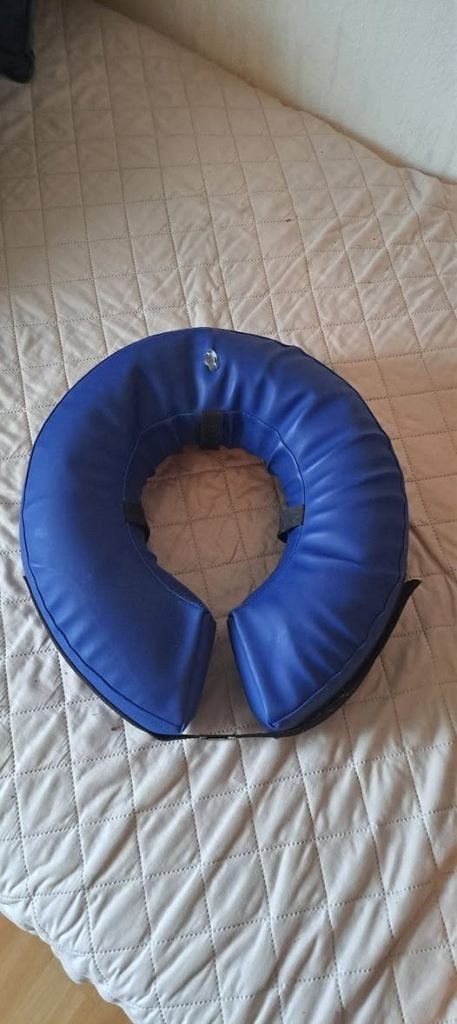 Te koop Mooncollar-opblaasbare kraag, Dieren en Toebehoren, Ophalen of Verzenden, Zo goed als nieuw